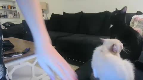 Crystal Lake online show from October 27, 9:20 am