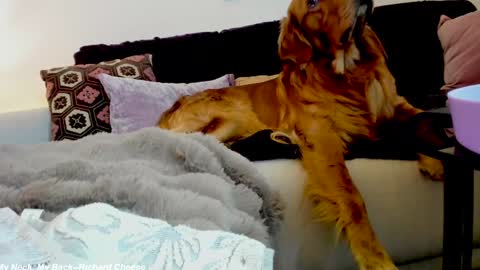 Lily online show from January 15, 2:38 am