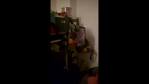 xblenx online show from April 21, 1:20 am