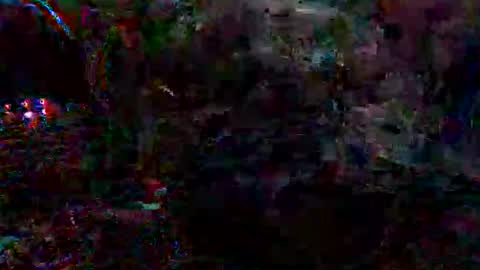 xixo6969 online show from May 31, 6:09 pm