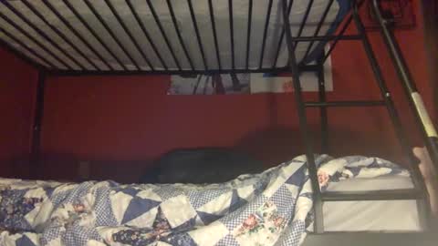 Vizzy online show from October 1, 7:40 am