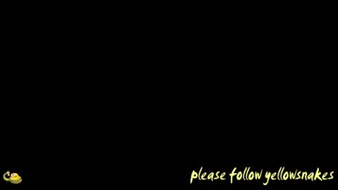 .     y e l l o w s n a k e s       . online show from January 15, 2:42 am