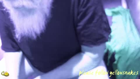 .     y e l l o w s n a k e s       . online show from December 14, 8:04 pm