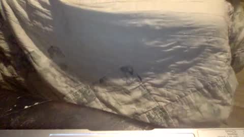 yes_you_may online show from October 21, 10:09 am