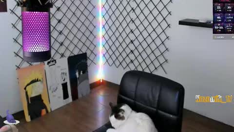 you can call me Andy or  yoshi  3 online show from September 26, 11:46 pm