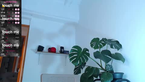 Snapshot of yosoy_enzo2020 chatting on February 27, 2:35 am Enzo online show from February 27, 2:35 am