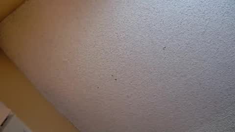 Sophiestar online show from October 21, 6:55 pm