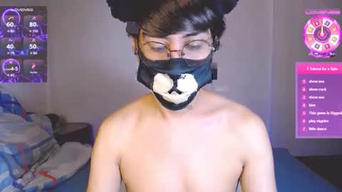 the puppy boy online show from October 29, 3:52 am