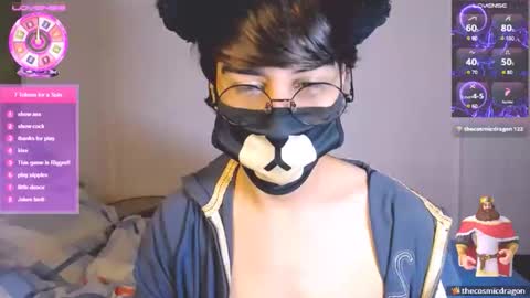 the puppy boy online show from November 28, 3:36 am