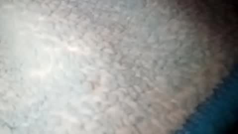 yuyu33333284475 online show from August 18, 4:34 am