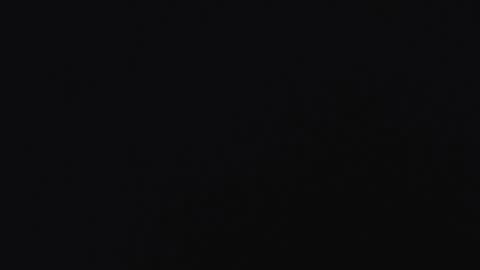 Zac Freelance model online show from January 9, 4:40 am