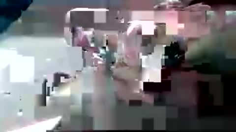 zenflex online show from November 22, 11:30 am