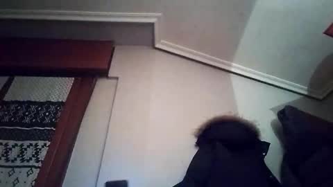 zigor13 online show from February 4, 9:30 pm