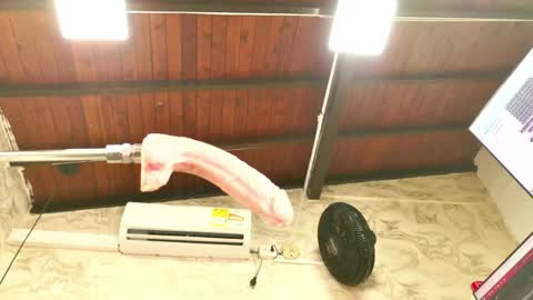 zoley  online show from April 11, 7:45 am