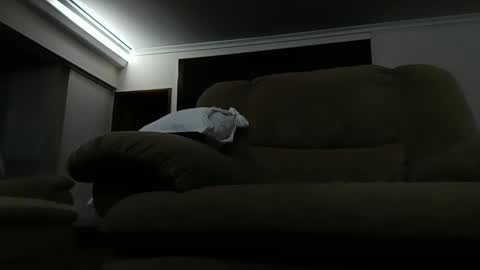 zschocke online show from November 17, 3:31 am