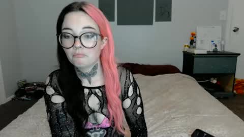 Snapshot of zzgrace chatting on February 3, 11:26 pm Gracie online show from February 3, 11:26 pm